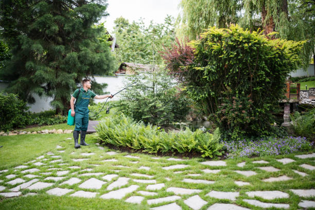 Best Exterminator Services  in Richnd Heights, MO