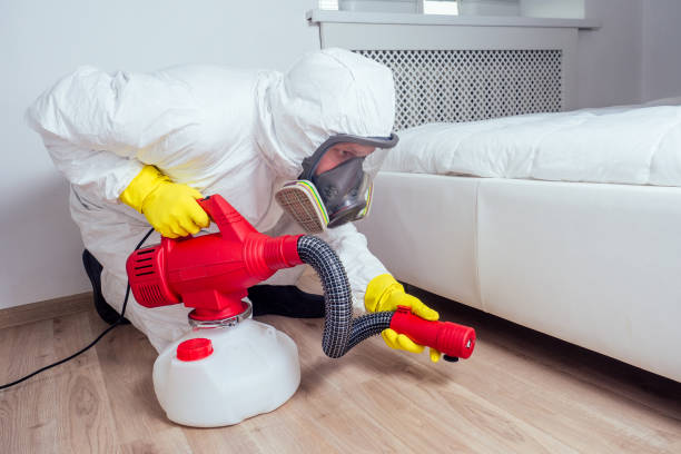 Best Mosquito Control Services  in Richnd Heights, MO