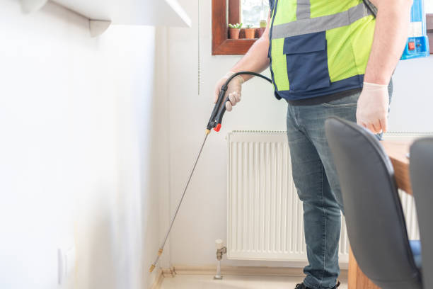 Best Ant Control Services  in Richnd Heights, MO