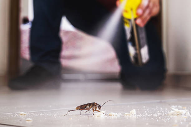 Professional Pest Control in Richmond Heights, MO