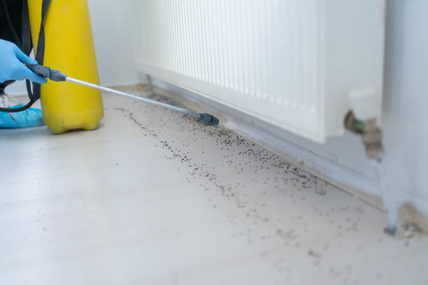 Best Pest Removal Services  in Richnd Heights, MO