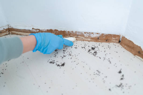 Best Best Pest Control Companies  in Richnd Heights, MO